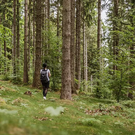 Złoty Horyzont Lux Główny Budynek Z Basenem, Siłownią, Grotą Solną, Bawialnią I Restauracją Horyzont Smaków * Szklarska Poręba