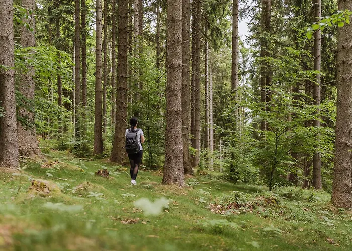 Zloty Horyzont Lux Glowny Budynek Z Basenem, Silownia, Grota Solna, Bawialnia I Restauracja Horyzont Smakow * Szklarska Poreba